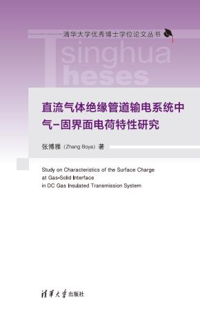直流气体绝缘管道输电系统中气-固界面电荷特性研究