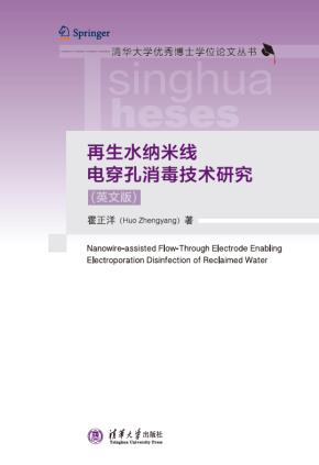 再生水纳米线电穿孔消毒技术研究（英文版）