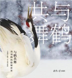 与鹤共舞:丹顶鹤的隐秘世界