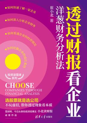 透过财报看企业:洋葱财务分析法