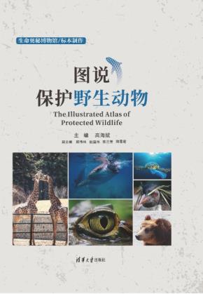 图说保护野生动物