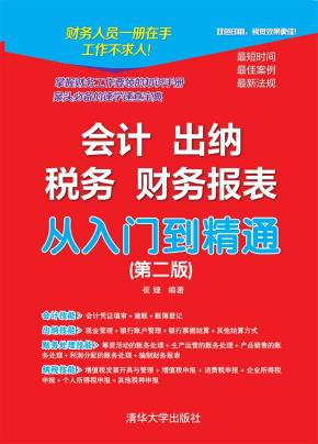 会计出纳税务财务报表从入门到精通(第二版)