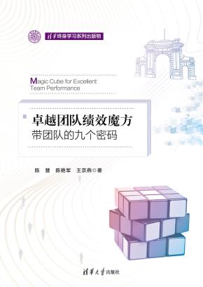 卓越团队绩效魔方：带团队的九个密码
