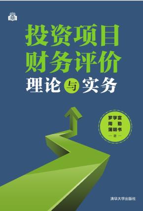 投资项目财务评价理论与实务