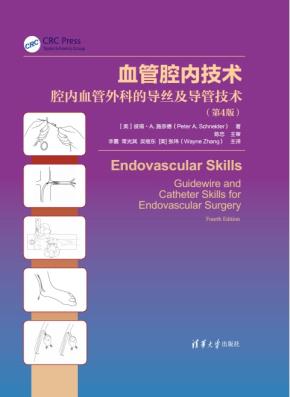 血管腔内技术-腔内血管外科的导丝及导管技术（第4版）
