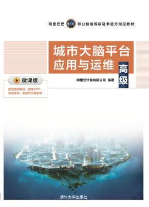 城市大脑平台应用与运维(高级)