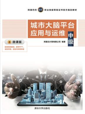 城市大脑平台应用与运维(中级)
