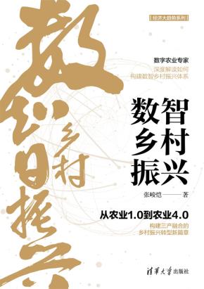 数智乡村振兴