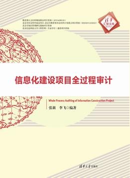 信息化建设项目全过程审计