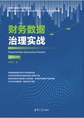 财务数据治理实战