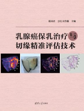 乳腺癌保乳治疗与切缘精准评估技术