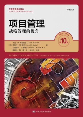 项目管理——战略管理的视角（第10版）（工商管理经典译丛）