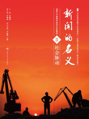 新闻的名义Ⅱ（21世纪新闻传播学应用型教材《新闻专业毕业设计》配套作品集）