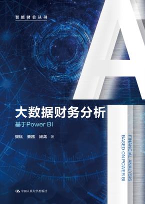 大数据财务分析——基于Power BI（智能财会丛书）