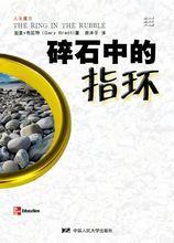 碎石中的指环（人生魔方）