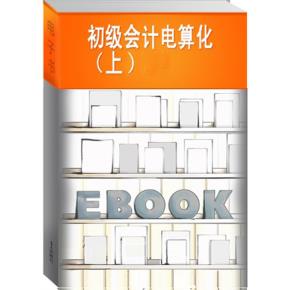 初级会计电算化（上、下）（2009年度会计从业资格考试学习丛书）