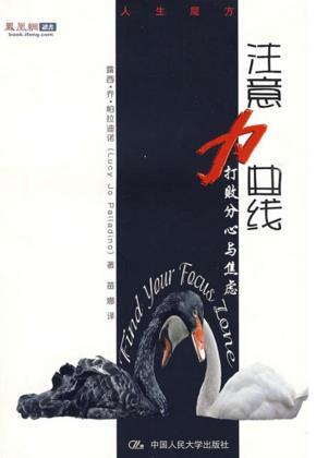 注意力曲线——打败分心与焦虑（人生魔方）