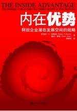内在优势：释放企业潜在发展空间的战略