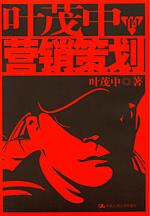 叶茂中的营销策划