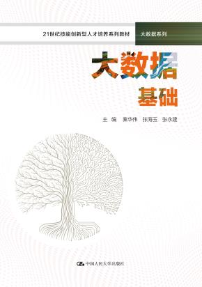 大数据基础（21世纪技能创新型人才培养系列教材·大数据系列）