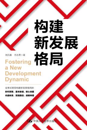 构建新发展格局