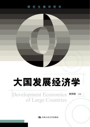 大国发展经济学（研究生教学用书）