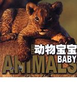 动物宝宝（地球故事）