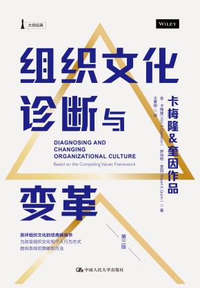 组织文化诊断与变革（第三版）