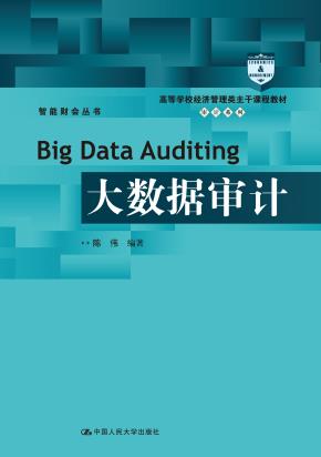 大数据审计(高等学校经济管理类主干课程教材·审计系列）